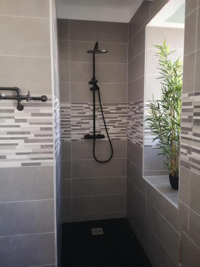Appartement Proche Stations De Ski Et Thermales Luz-Saint-Sauveur Dış mekan fotoğraf